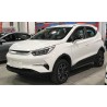 ByD S1 PRO 400km Full 2023