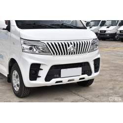 CHANGAN EM60 2021